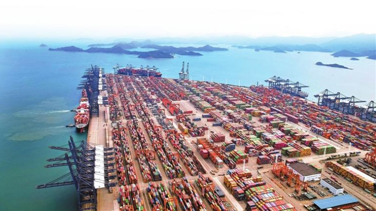 構建經貿安全「港灣」 護航「圳品」安心出海