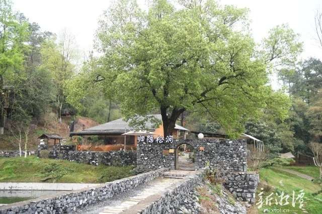 第六屆湖南旅遊發展大會丨來湘潭，赴一場春天的約會