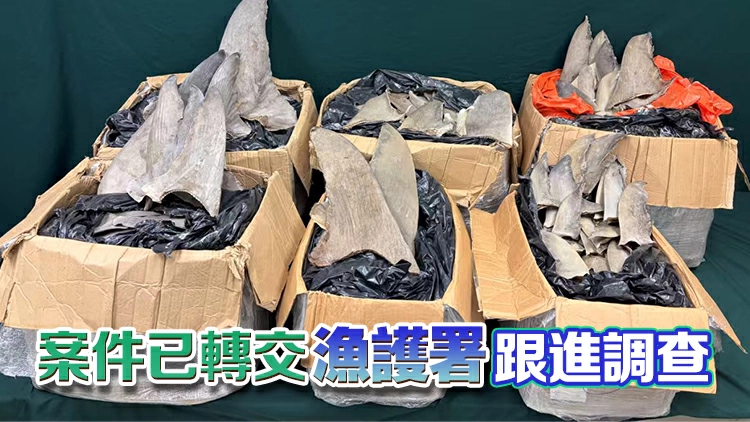 海關機場檢獲約162公斤懷疑受管制乾魚翅 市值約28萬元