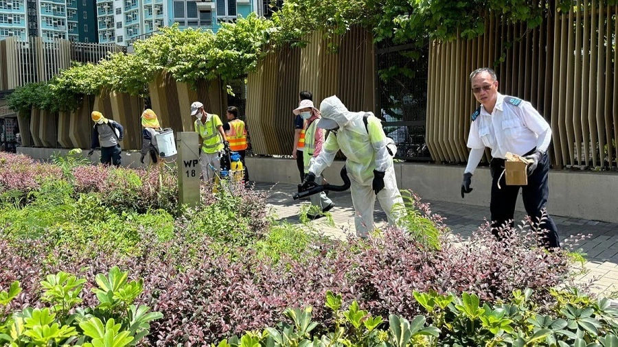 食環署：料白紋伊蚊誘蚊器指數上升 籲市民落實防蚊措施