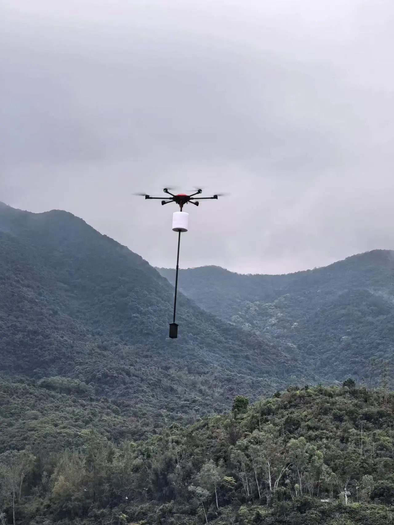 「海空一體」智能觀測在深圳大鵬迎新突破