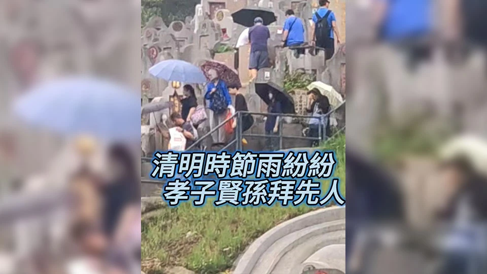有片丨清明時節雨紛紛 孝子賢孫拜先人