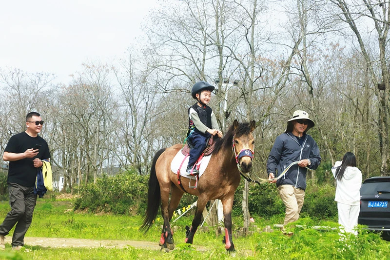 踏春品茗集福卡  皖休寧文旅新玩法引客「春日簽到」