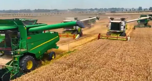 霍爾木茲海峽牽動麵包價格 運輸中斷衝擊全球農業