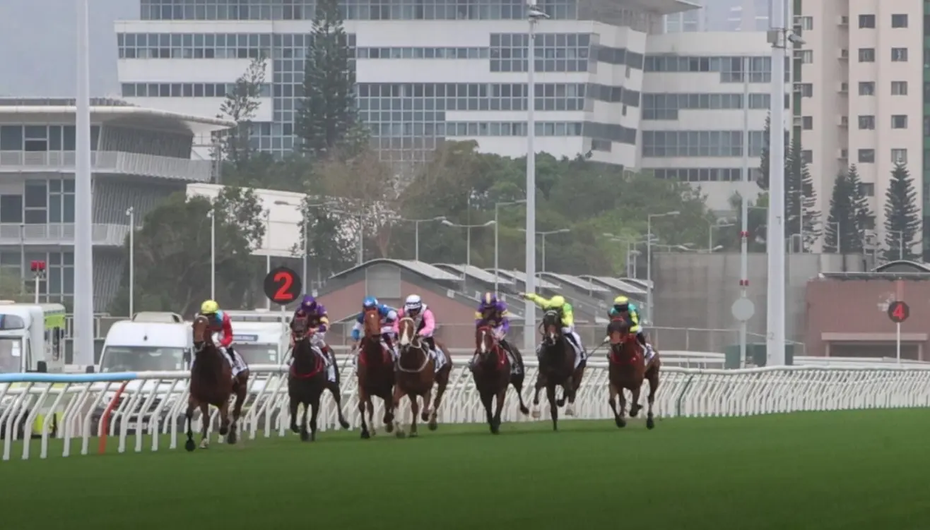 有片丨締1分07秒12再破田草紀錄 嘉應高昇輕鬆19連勝