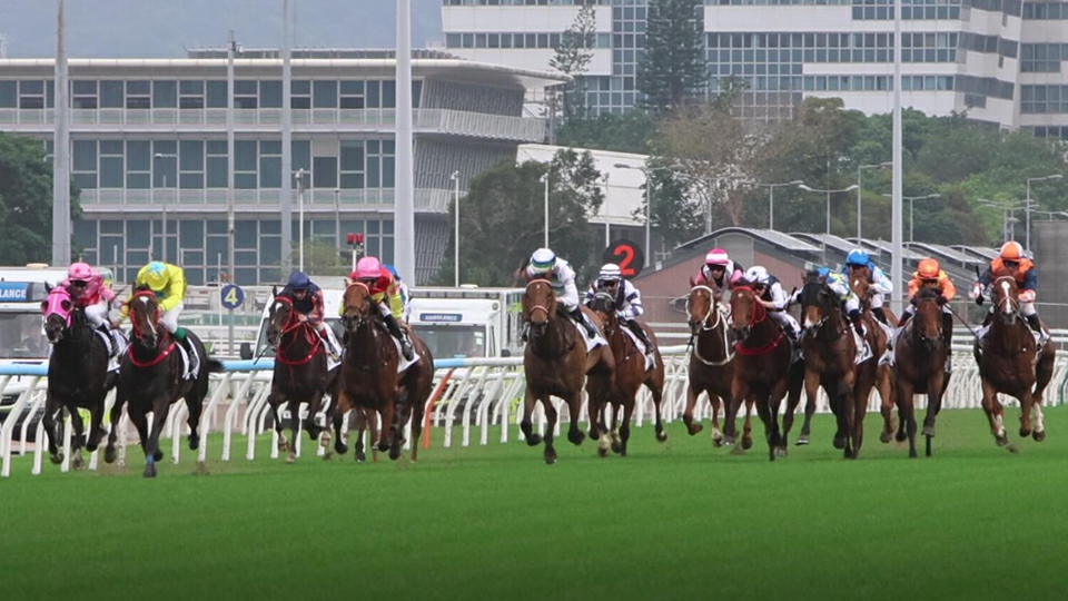  有片｜梁家俊力拒布文來犯 金鑽貴人勇奪主席錦標