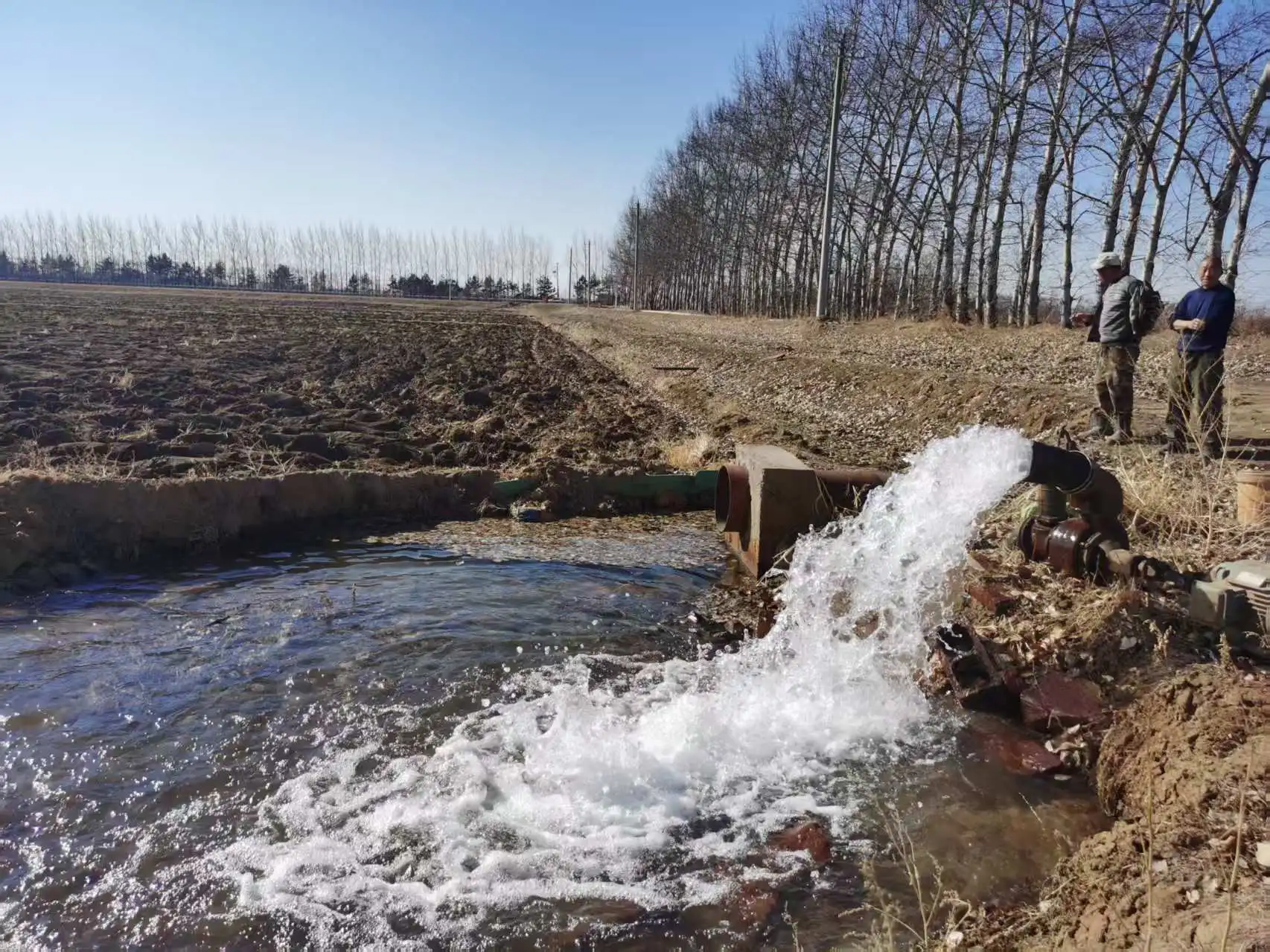 水潤良田促豐收 北大荒江濱分公司春耕整地正當時