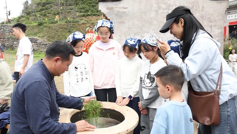 皖歙縣三陽鎮老竹嶺大方茶園開園