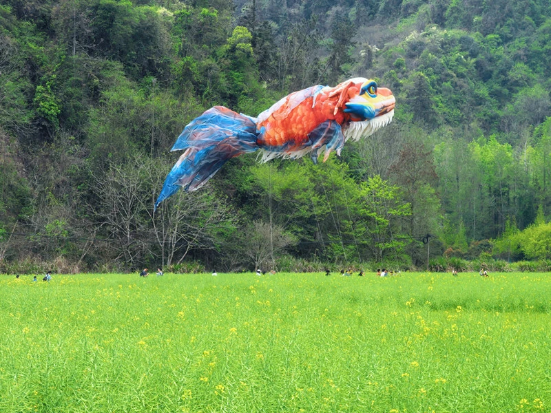 皖休寧齊雲山：「鰲游花海」盡春色