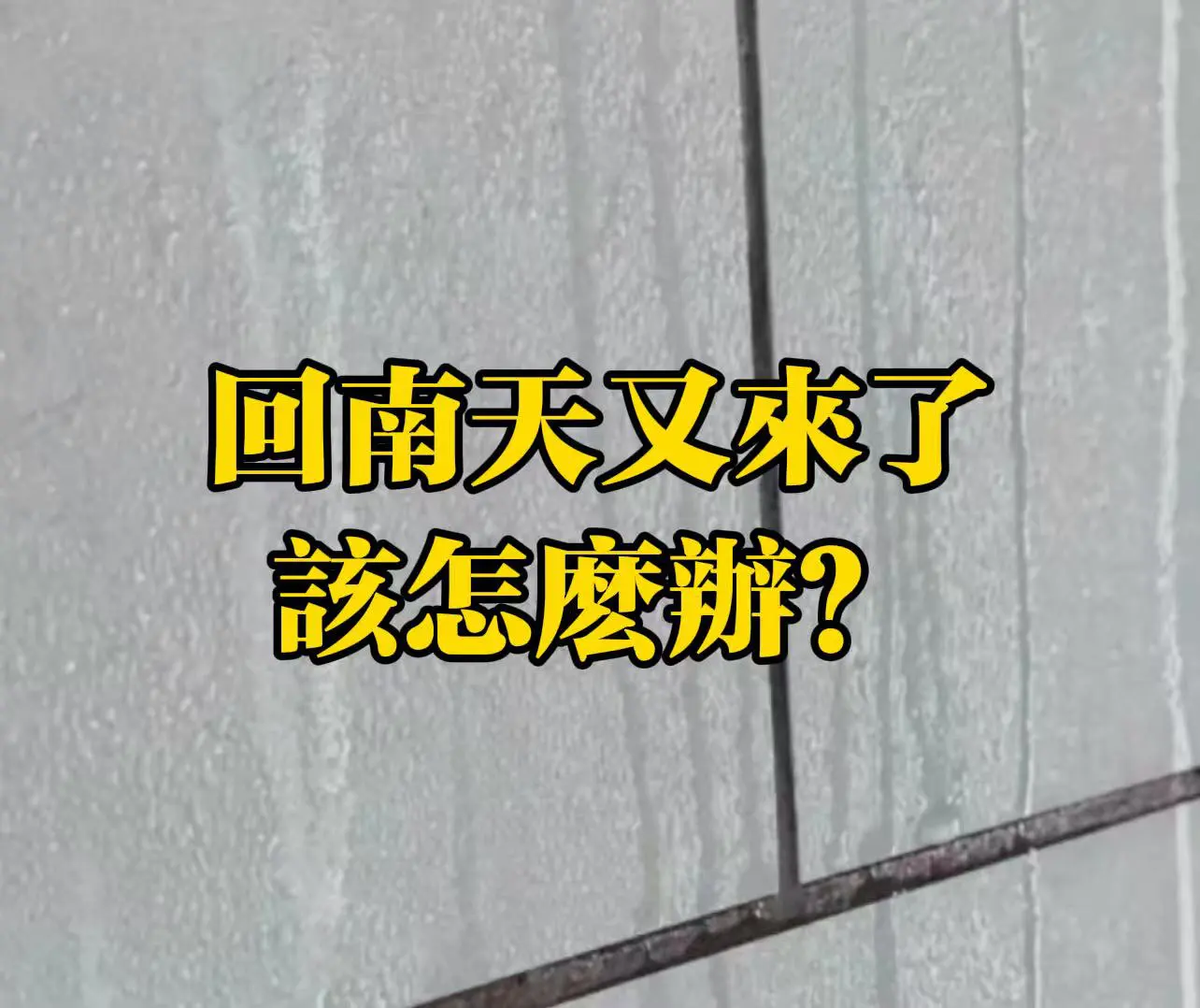 有片｜回南天又來啦，該怎麼辦？