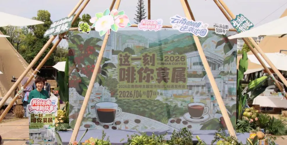 雲南咖啡，香飄世界：從「原料輸出」到「中國代表」的品牌躍遷