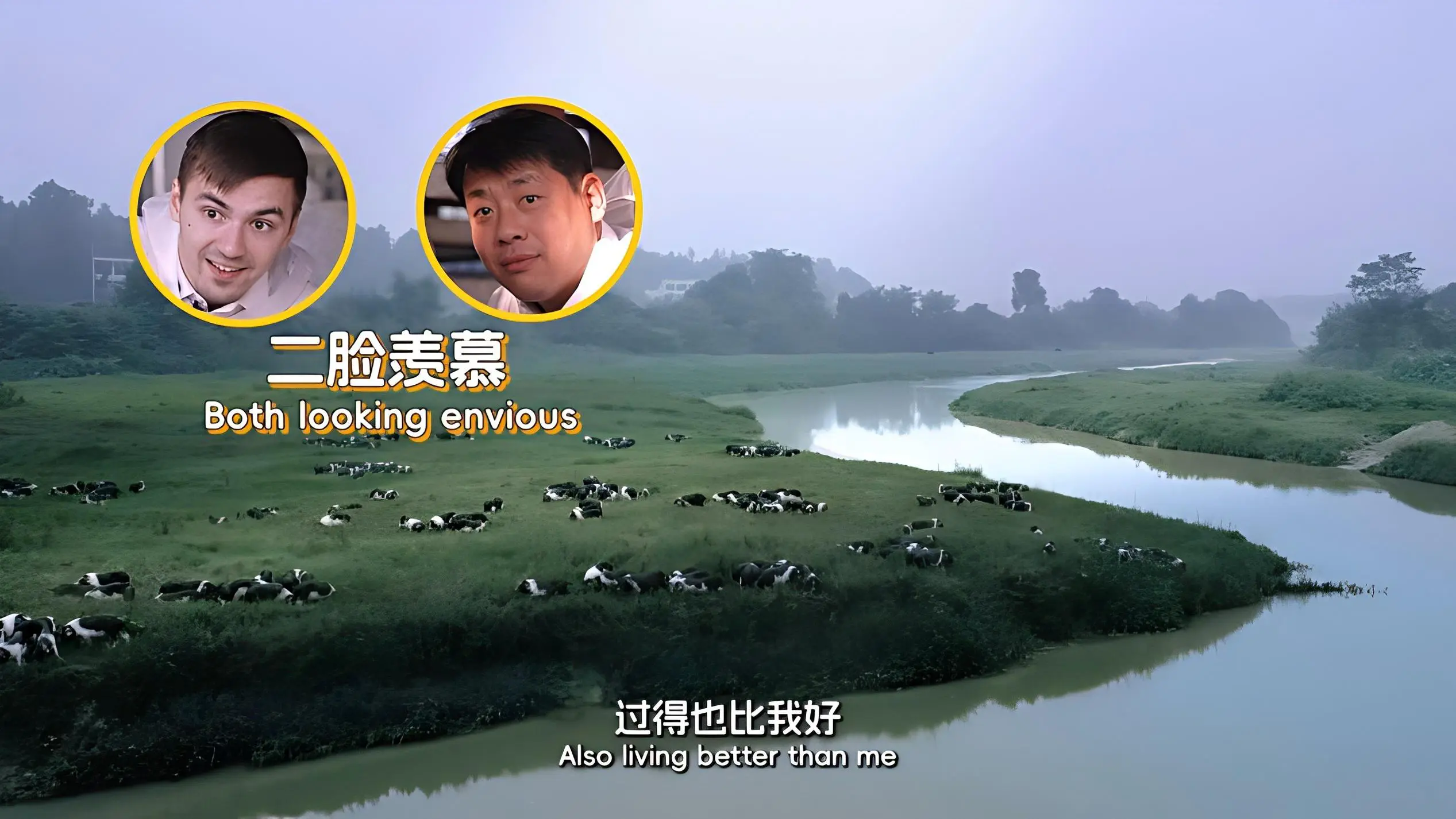 流沙河花豬過得有多「潮」？外國友人《在長沙，都實現》第二季親測解鎖