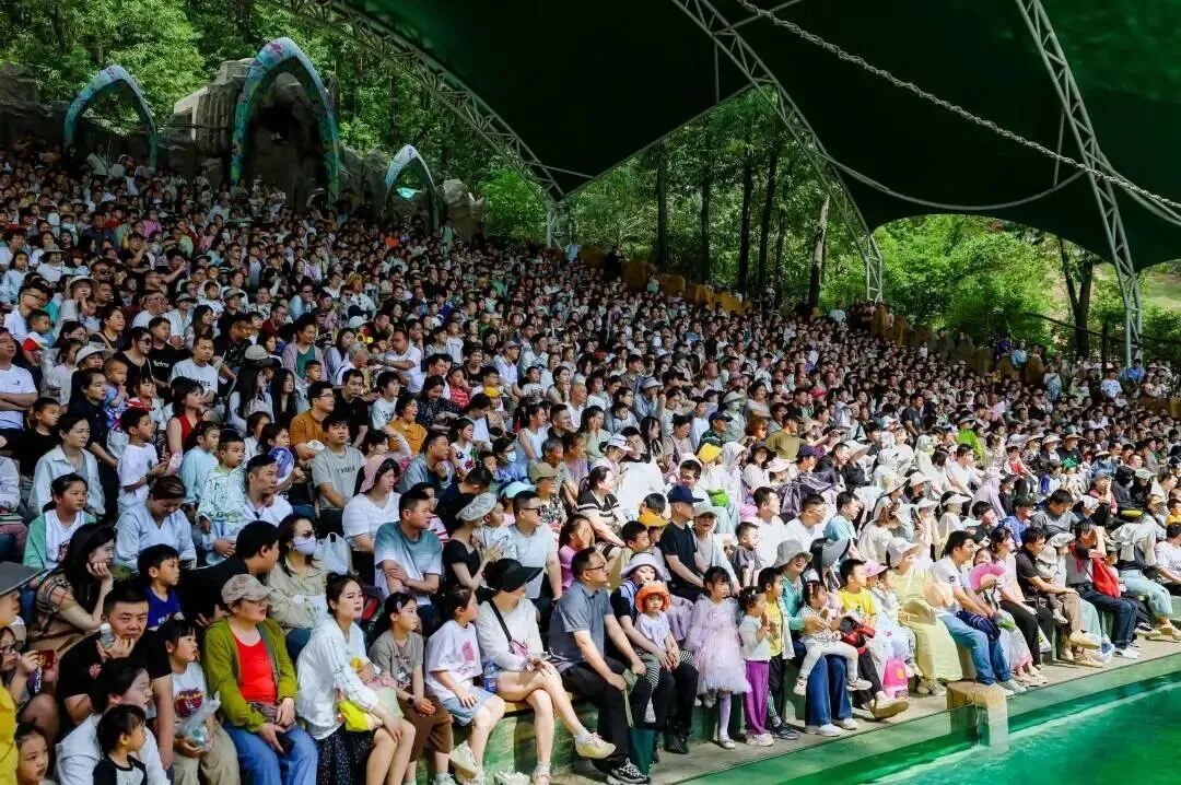 持續出圈！清明假期武野熱度躋身全國動植物園前三