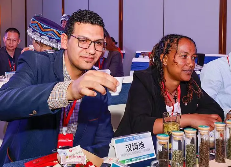 恩施硒茶 香約四海