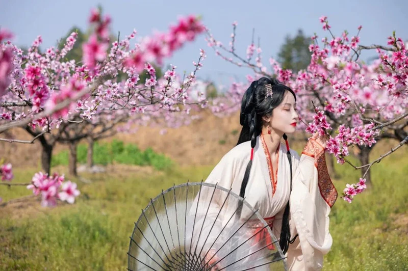 皖黟縣：深化「林業+」融合賦能高質量發展