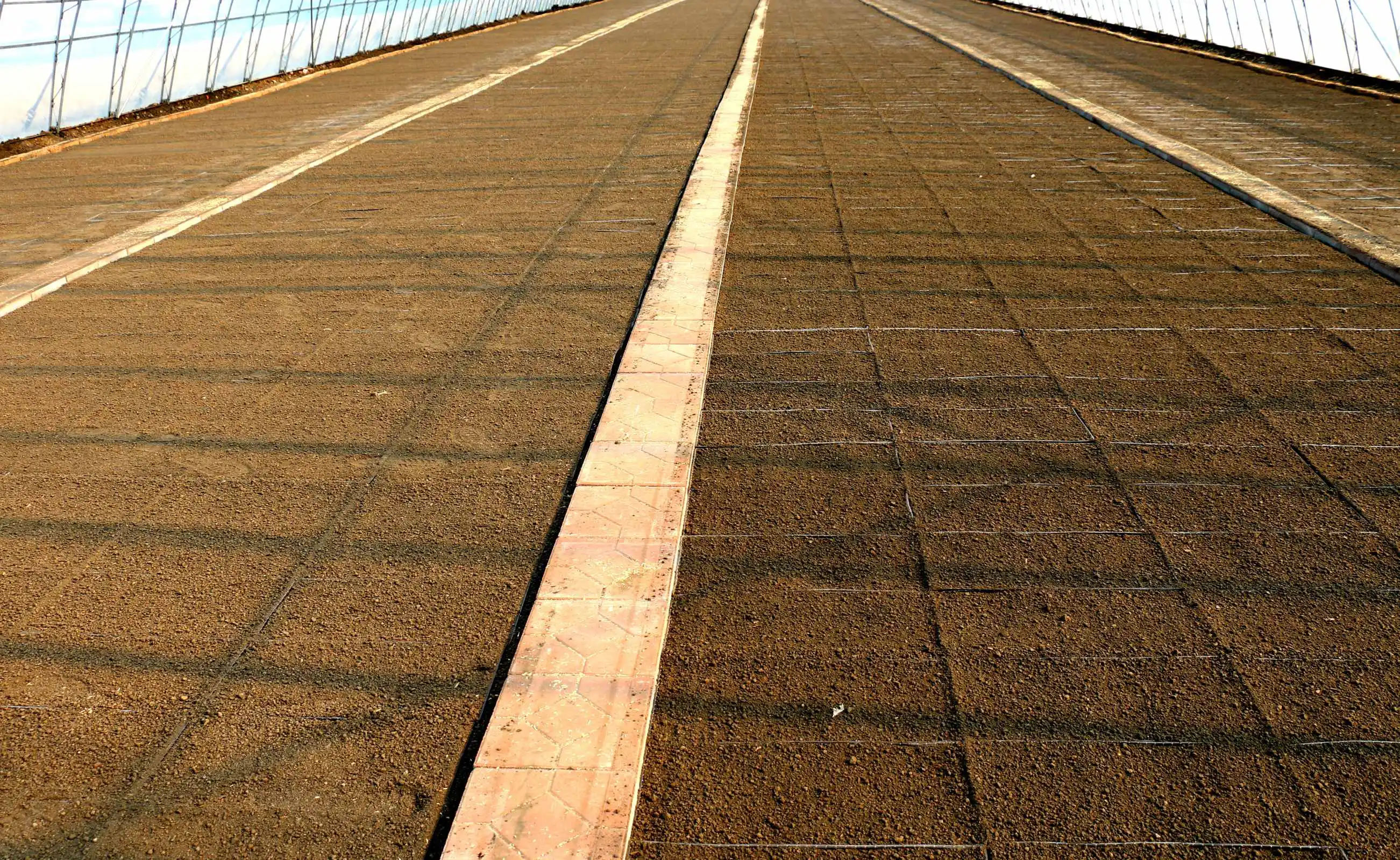 黑龍江雙鴨山農場智能裝備讓水稻擺盤跑出春耕「加速度」