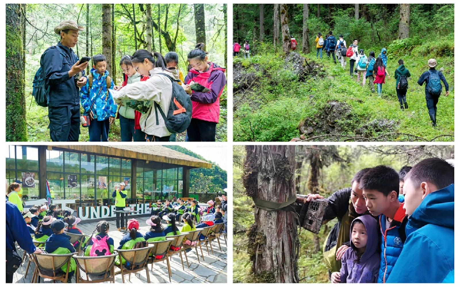林長領航 四川平武自然教育走出生態價值轉化「寬路子」