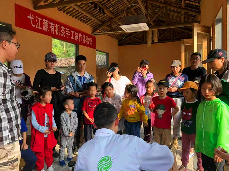 豐富融合業態強化品牌培育  皖黟縣創新打造茶旅融合發展新模式