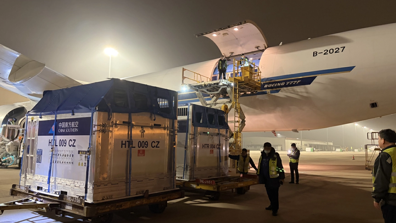 南航首次大規模投用自研摺疊馬廄 活體航空運輸實現新突破