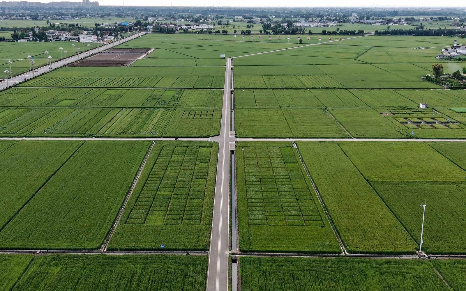 構建立體化管理體系 四川廣漢科技「描畫」春耕生產新圖景