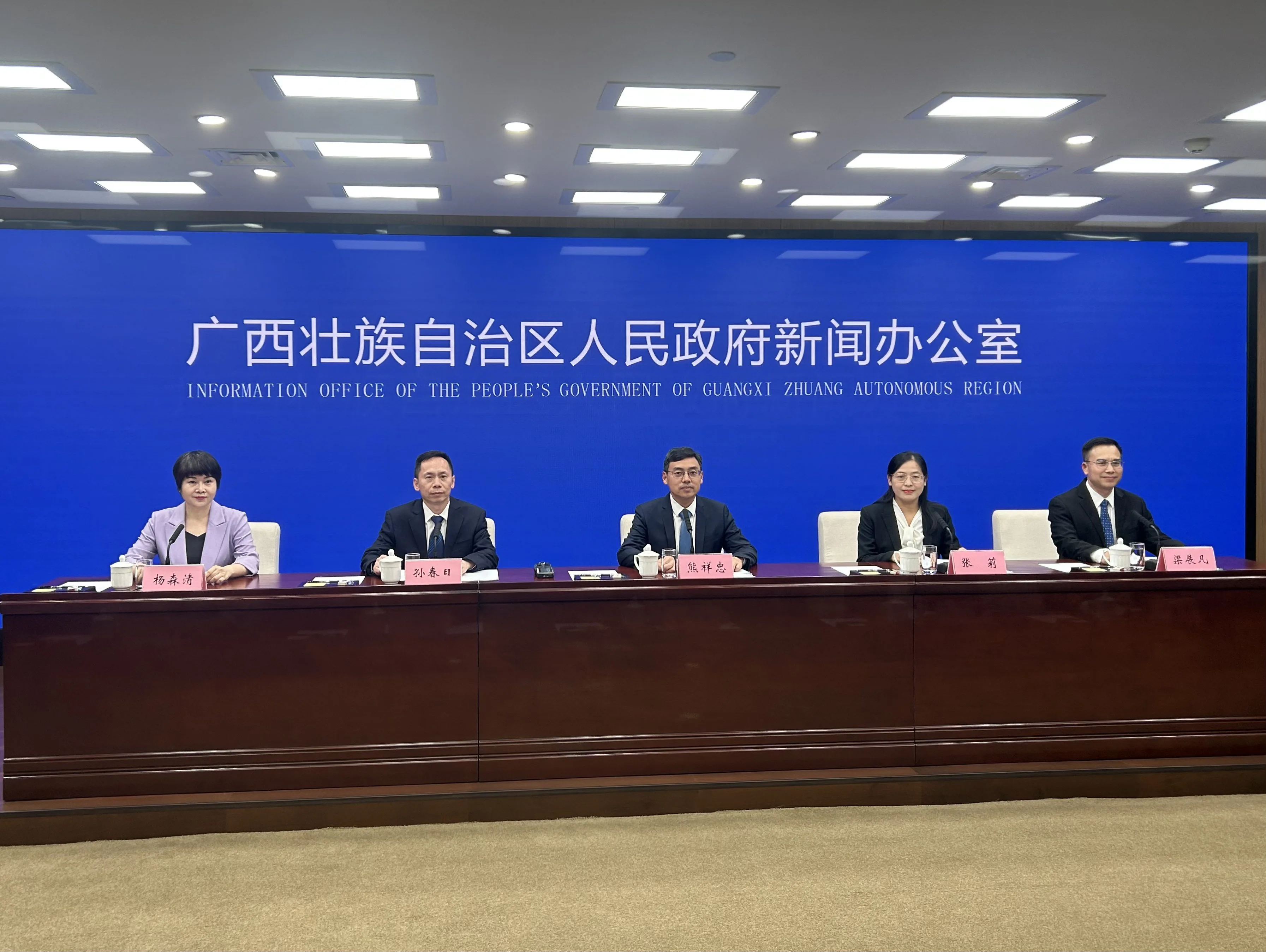 廣西推動農網建設  繪就鄉村振興綠色發展新藍圖