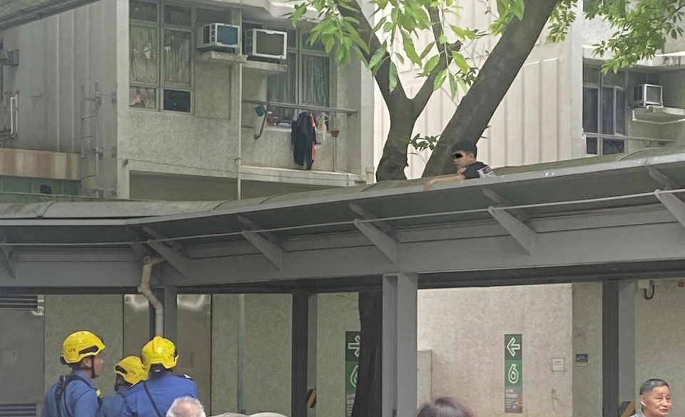 有片〡天恒邨8歲男童攀行人道上蓋祖母被捕 網民質疑：佢點樣爬上去