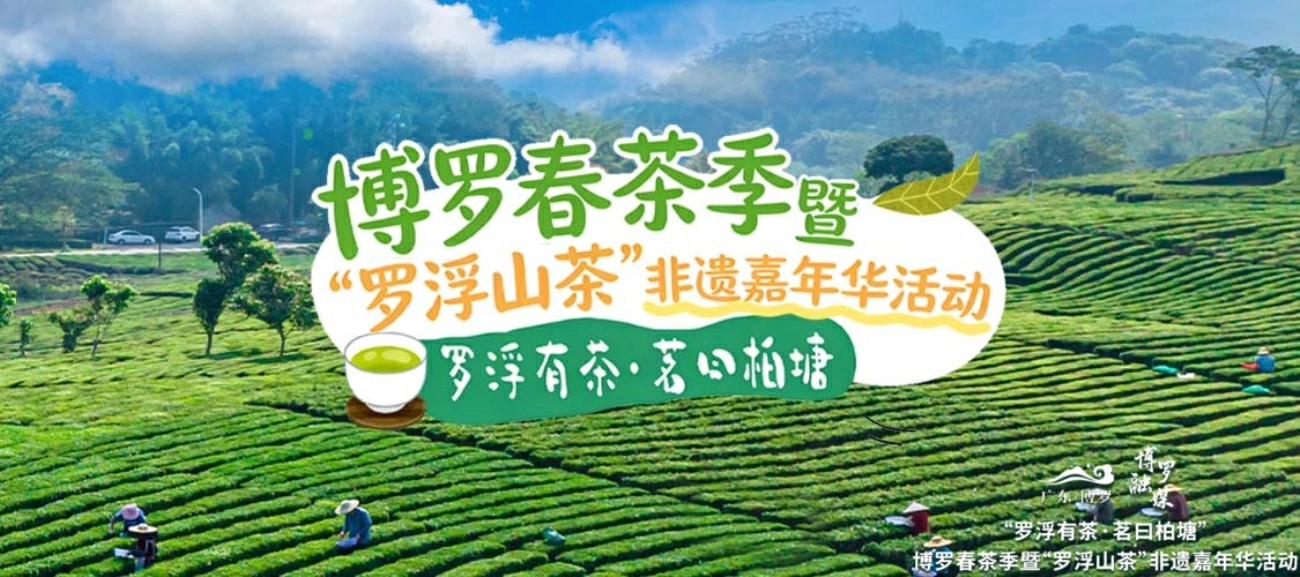 記者觀察︱博羅「四季品牌推廣計劃」從一片葉子開始
