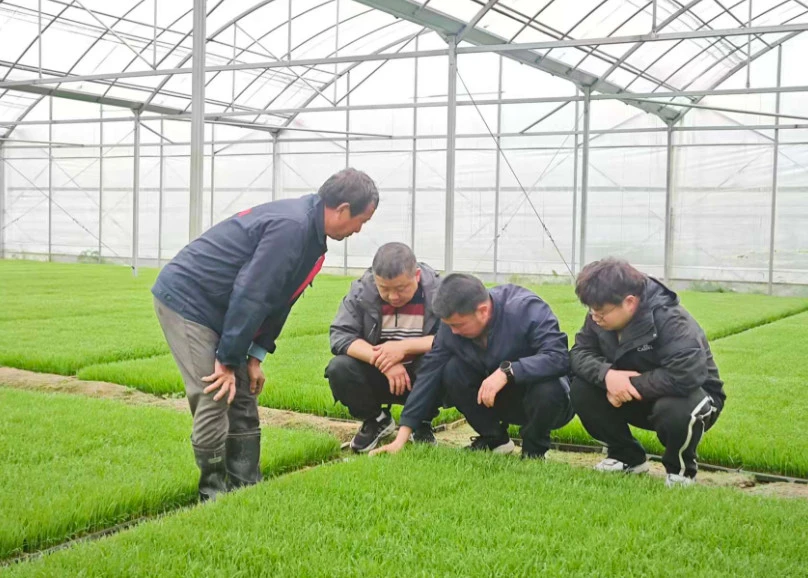 皖黟縣：科技賦能「挖出」水稻產能