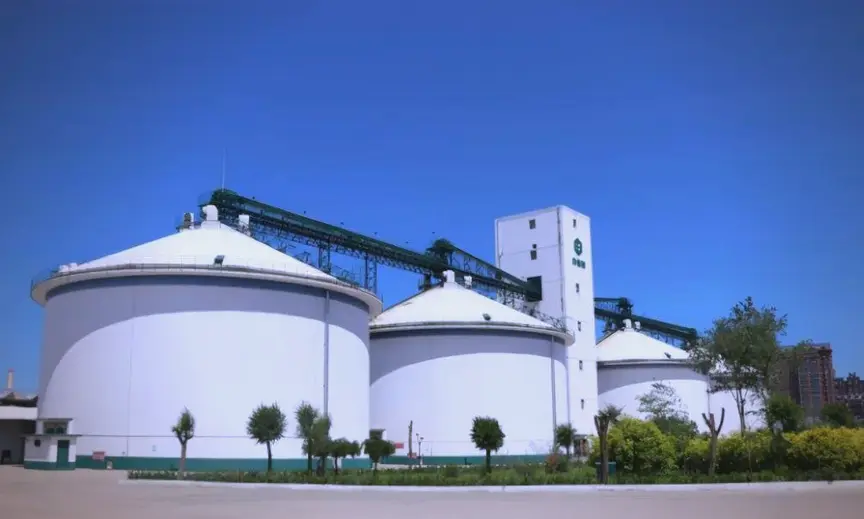 俄羅斯呼籲金磚國家建立聯合糧食儲備 以應對中東危機風險