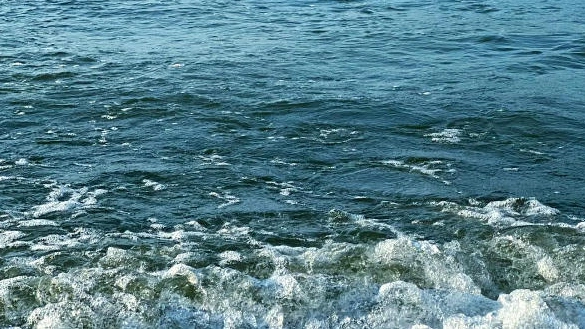 康文署：由於大浪關係 貝澳泳灘懸掛紅旗