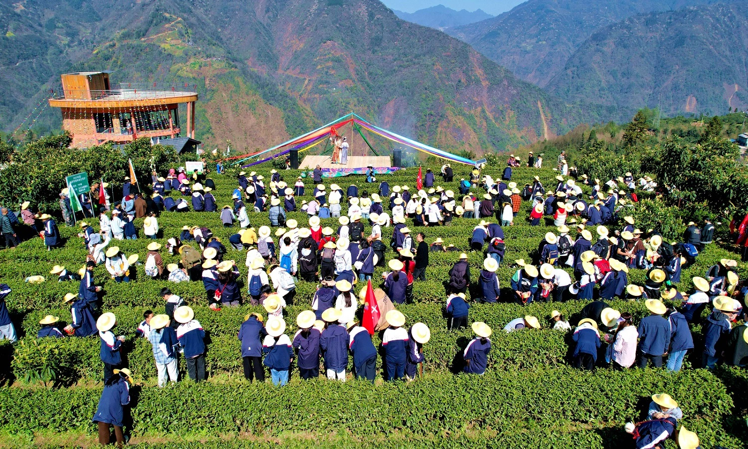 「春日經濟」多點開花  四川北川全域聯動賦能鄉村振興