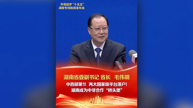 有片｜湖南省委副書記、省長毛偉明：湖南成為中非合作「橋頭堡」