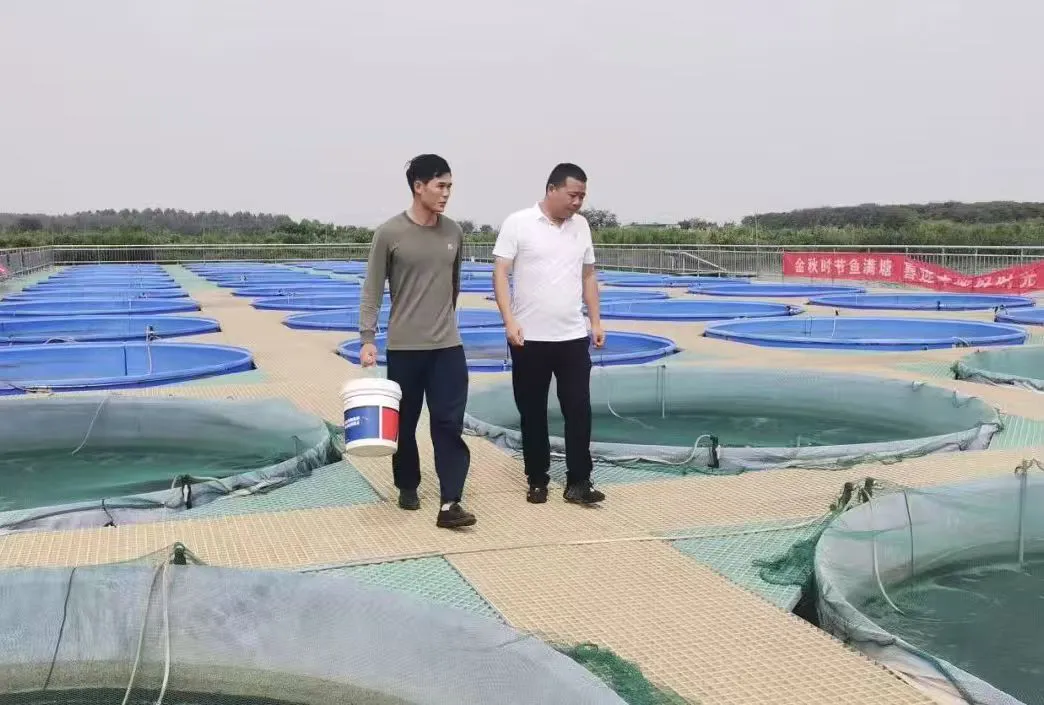 數智賦能農業現代化  武漢蔡甸打造智慧「魚米之鄉」