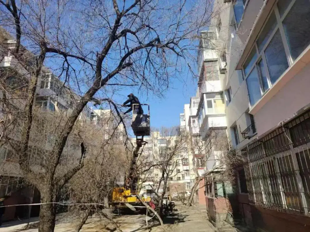 哈市香坊區民生路街道辦事處開展春季環境整治  擦亮轄區「天際線」