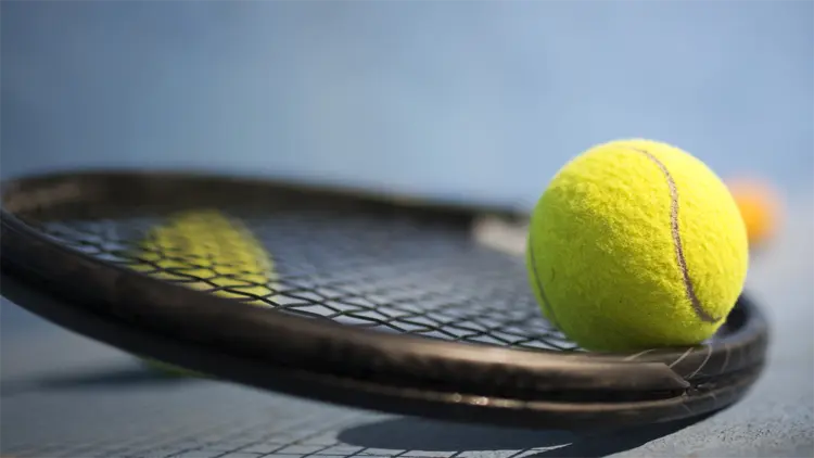 2026年法網單打正賽名單公布 鄭欽文等5名中國球員入圍