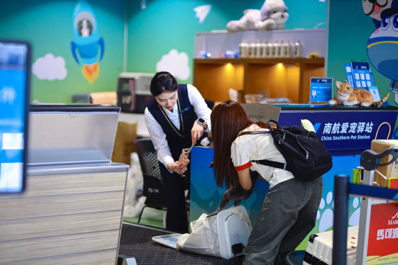 南航「愛寵進客艙」服務拓寬至760條航線