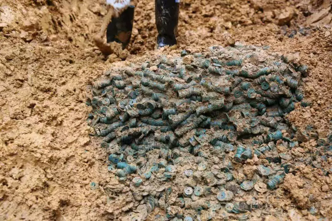 武岡發現規模宏大古錢幣窖藏：涵蓋唐至宋金  系邵陽首次大規模出土