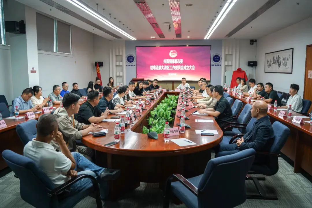 共青團邯鄲市委駐粵港澳大灣區工作委員會正式成立