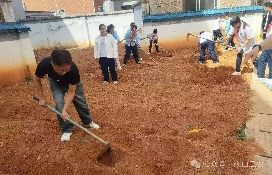 「小農夫」上線！雲南硯山農科人員進校園  帶孩子們「玩轉」春耕