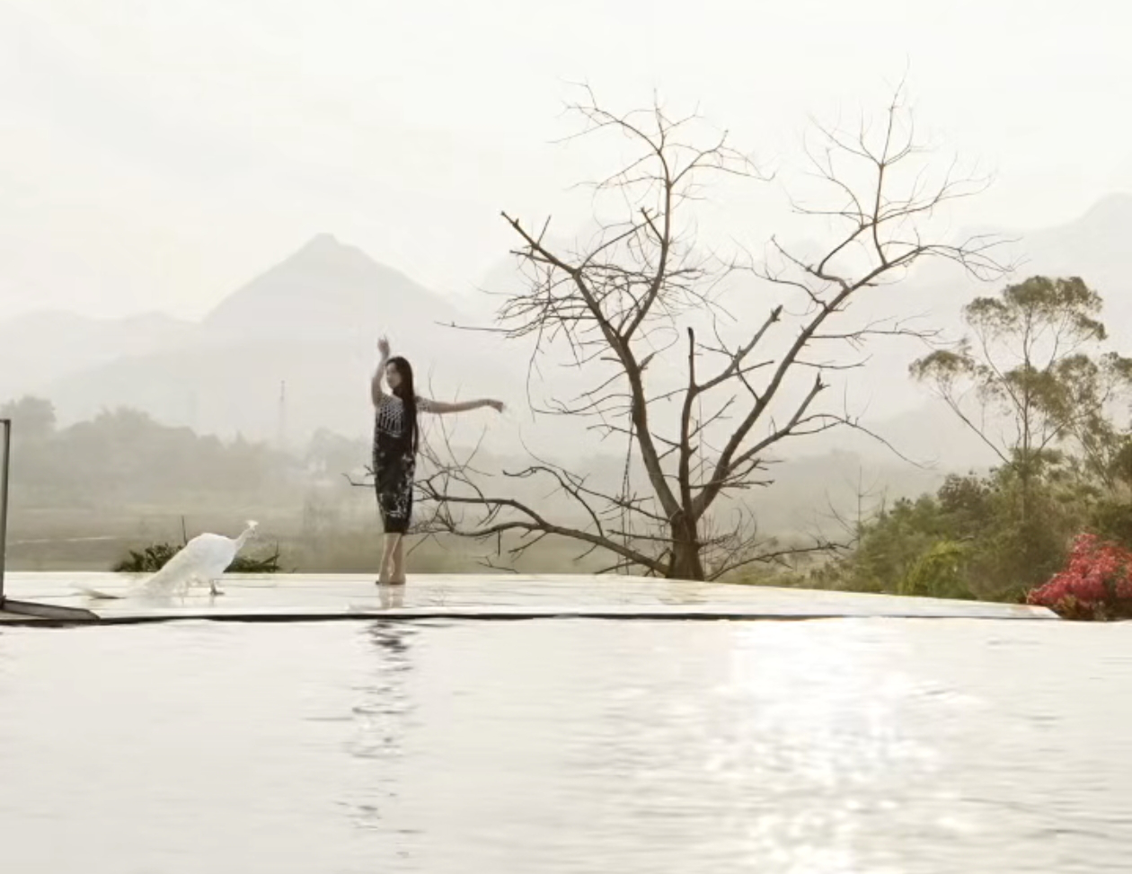 有片｜桂港聯手打造文旅微短劇《問錦》重磅爆料！