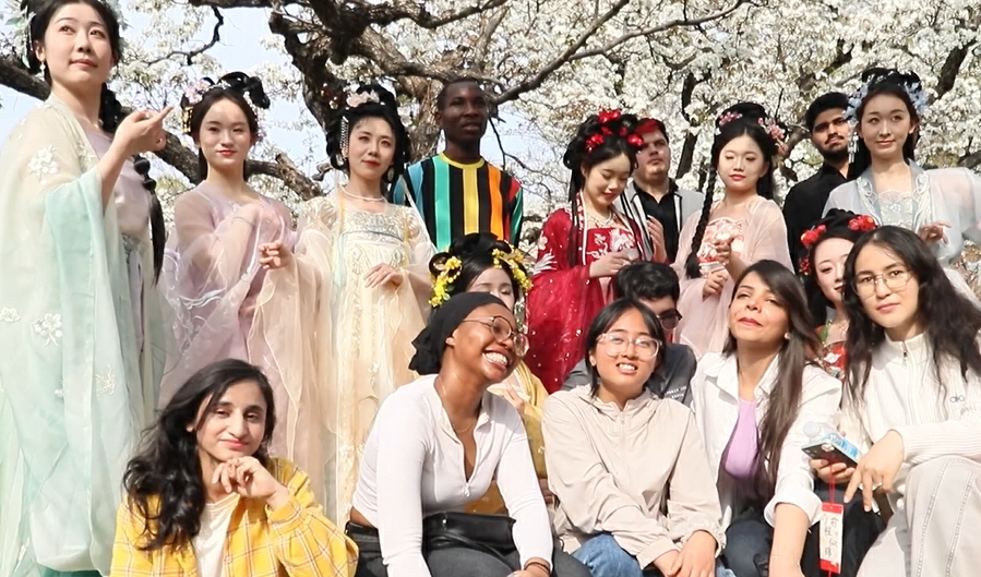 【視聽山東·泰安】萬畝梨花引外籍學子打卡