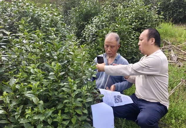 皖黟縣多措並舉推進農村土地二輪延包工作