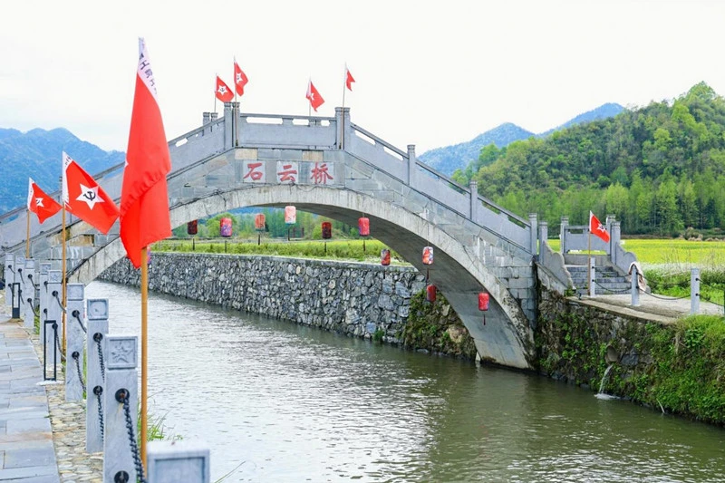 悅賞金色花海 重溫烽火歲月  皖黟縣柯村紅色研學別樣「紅」