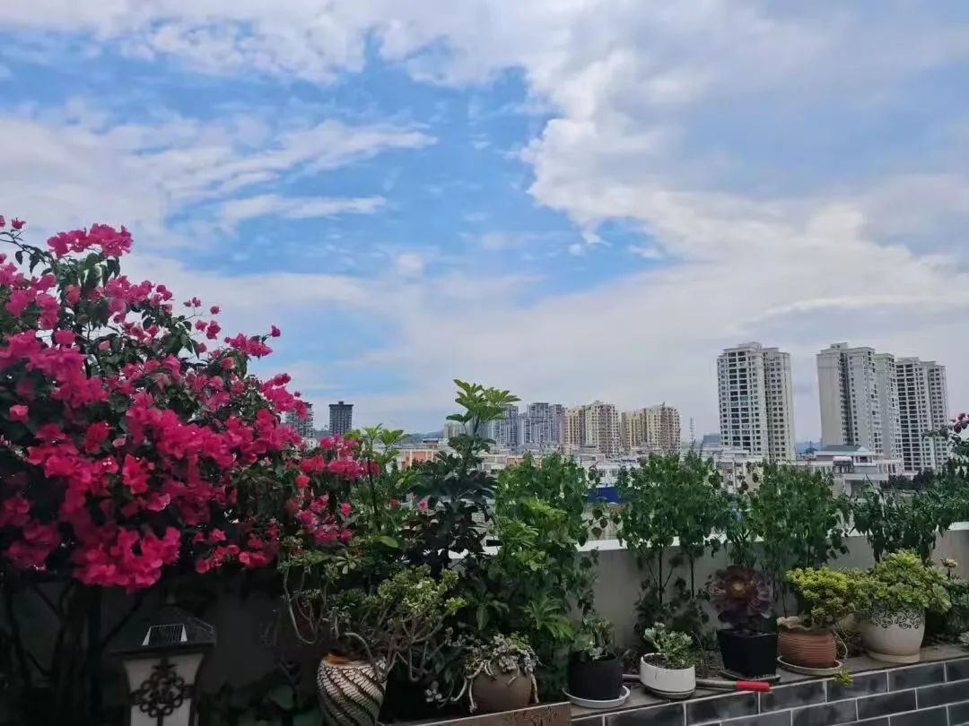 山水硯山  此間有「家」：一間民宿  串聯起遠方與歸處