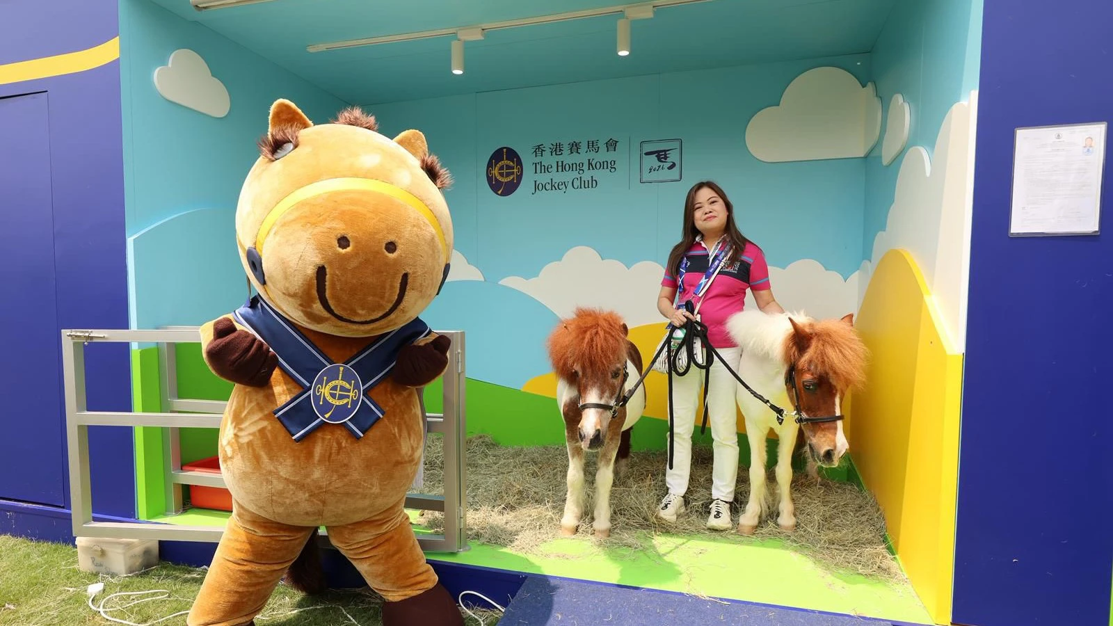 羅淑佩與兩隻雪特蘭小馬打卡