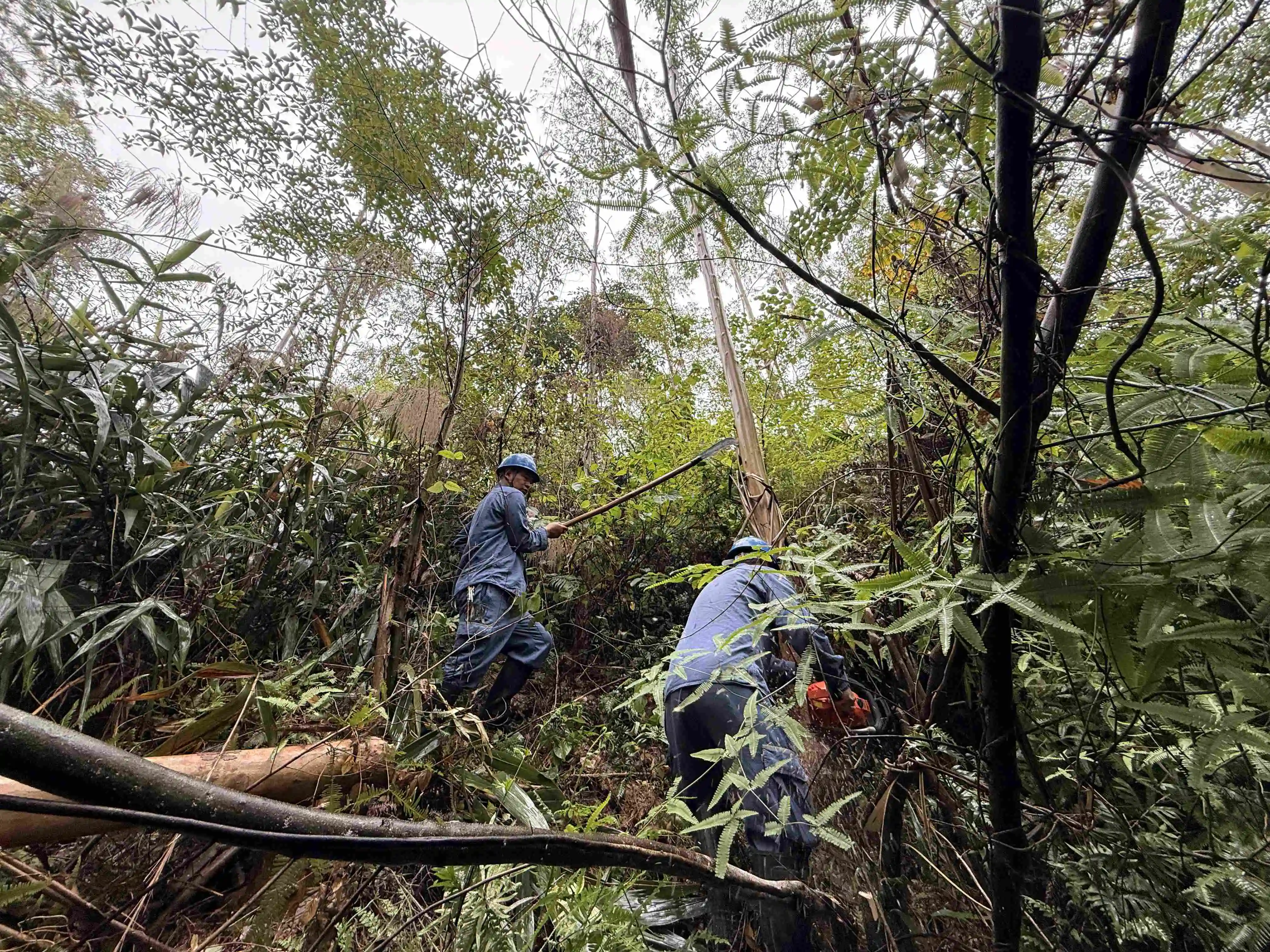  桂容縣供電公司：彰顯國有企業的責任與擔當