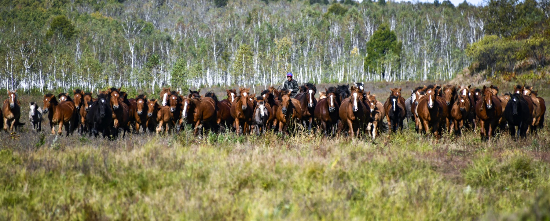 黑龍江省「龍江鄉韻·和美鄉村」優秀圖片視頻徵集評選結果揭曉