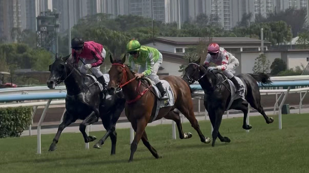 有片丨香港賽馬會社群盃名花有主 羅淑佩頒獎超開心