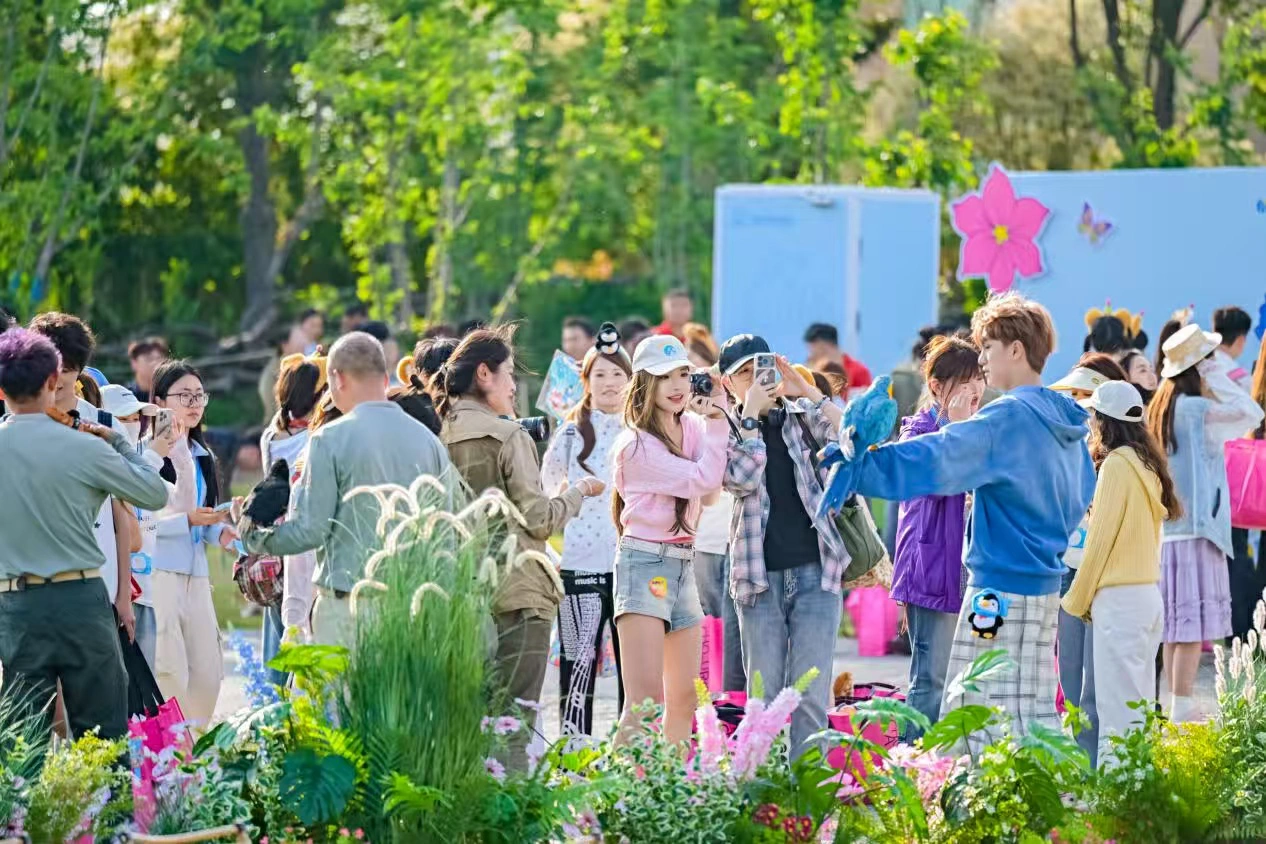 銀基動物王國「超出片」品牌亮相：當打卡經濟遇上主題樂園新生態