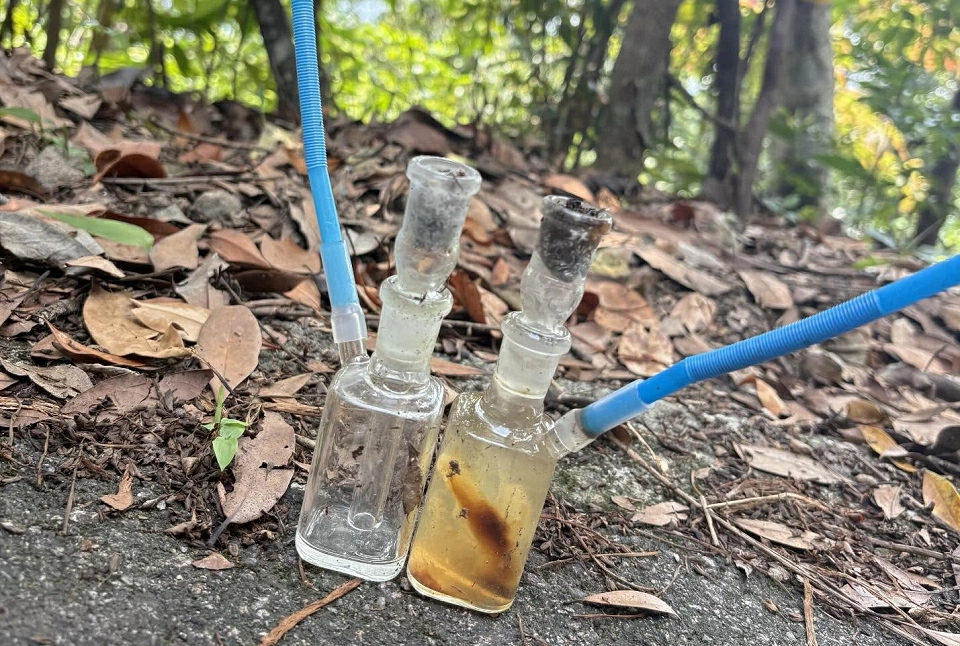 有片〡環保義工飛鵝山淨山變掃毒 網民：吸毒聖地